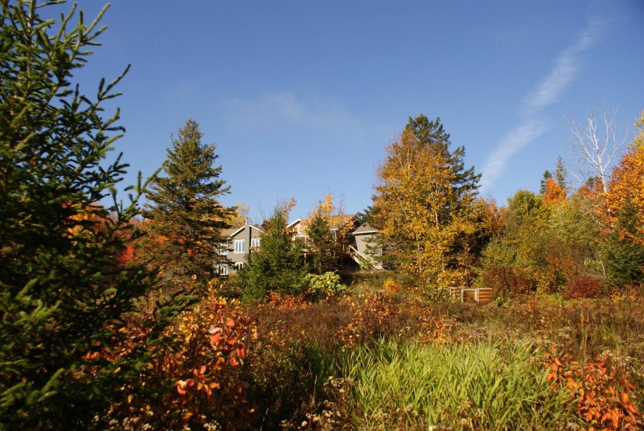 Top Of Algonquin Bed And Breakfast Mattawa Екстер'єр фото